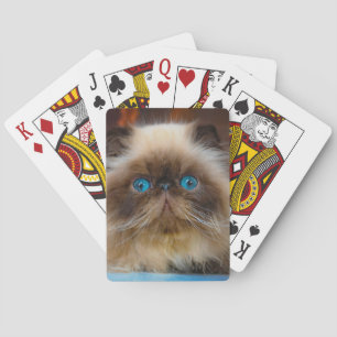 Cutest Baby djur Himalayan Cat Casinokort