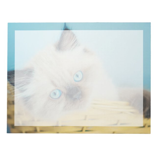 Cutest Baby djur | Himalayan-sälspat Anteckningsblock (Framsida)
