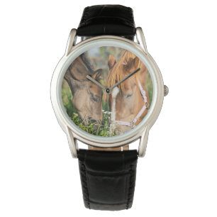 Cutest Baby djur   Horse Colt Armbandsur