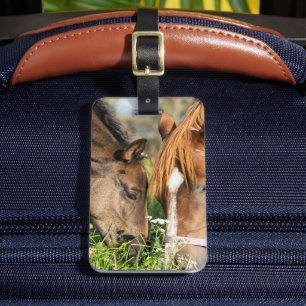 Cutest Baby djur Horse Colt Bagagebricka