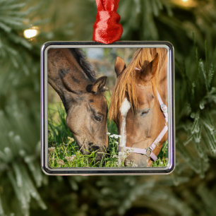 Cutest Baby djur   Horse Colt Julgransprydnad Metall