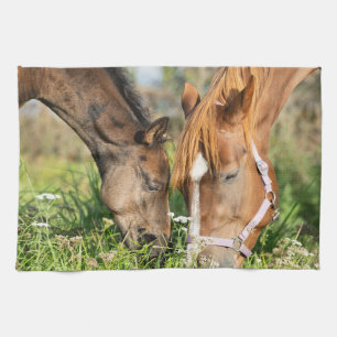 Cutest Baby djur Horse Colt Kökshandduk
