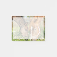 Cutest Baby djur | Horse Colt