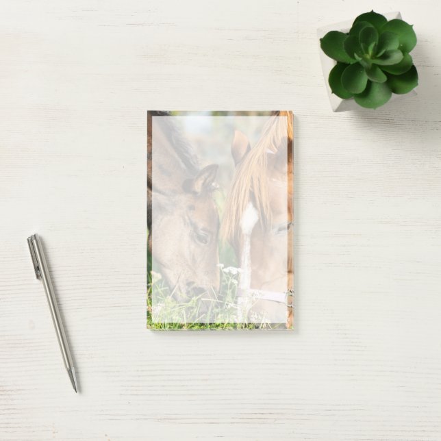 Cutest Baby djur | Horse Colt Post-it Block (Kontor)
