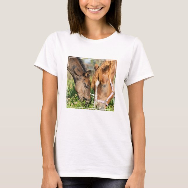 Cutest Baby djur | Horse Colt T Shirt (Framsida)