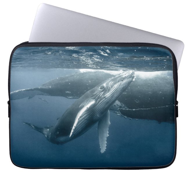Cutest Baby djur | Hump Whale Calf Laptop Fodral (Framsidan)