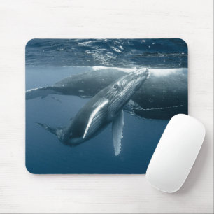 Cutest Baby djur Hump Whale Calf Musmatta