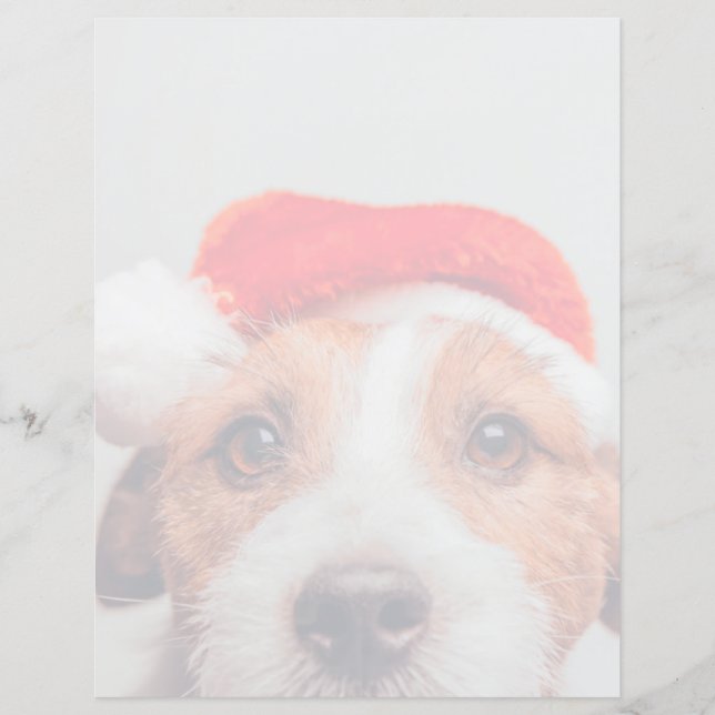 Cutest Baby djur | Jack Russell Hund Jultomten (Framsida)