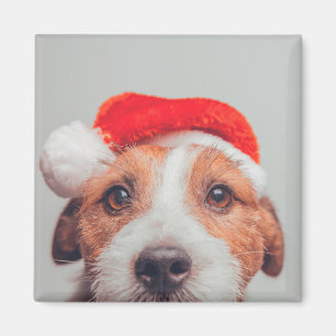 Cutest Baby djur Jack Russell Hund Jultomten Magnet
