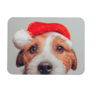 Cutest Baby djur Jack Russell Hund Jultomten Magnet