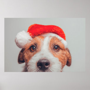 Cutest Baby djur Jack Russell Hund Jultomten Poster