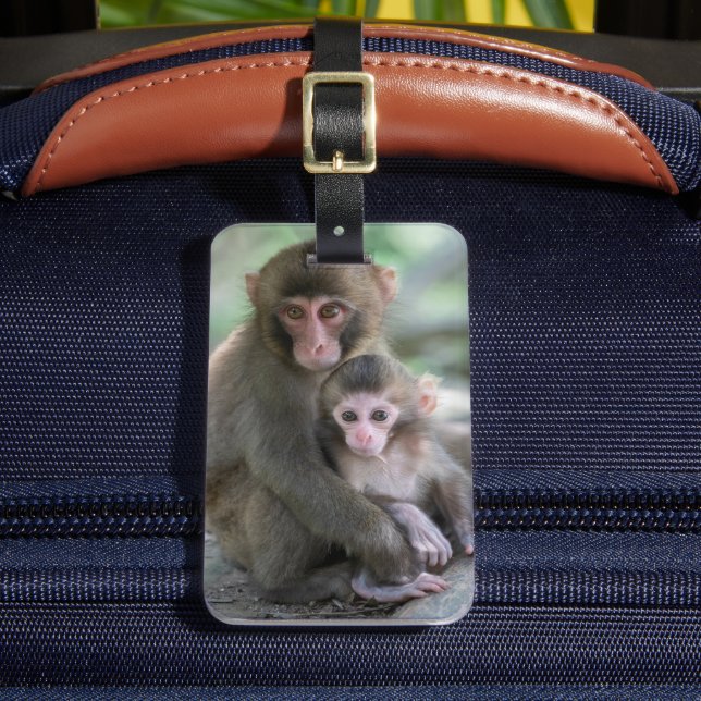 Cutest Baby djur | Japanska apor Bagagebricka (Framsida Insitu 2)