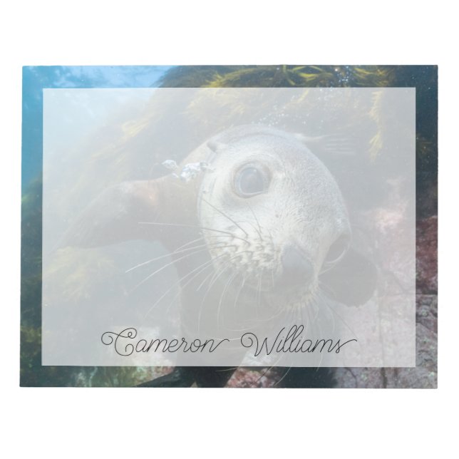 Cutest Baby djur | Kap Päls säl under vatten Anteckningsblock (Framsida)