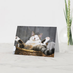 Cutest Baby djur Katt i säd Kort