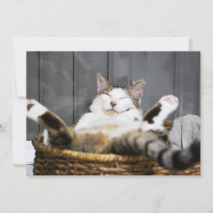 Cutest Baby djur Katt i säd Tack Kort