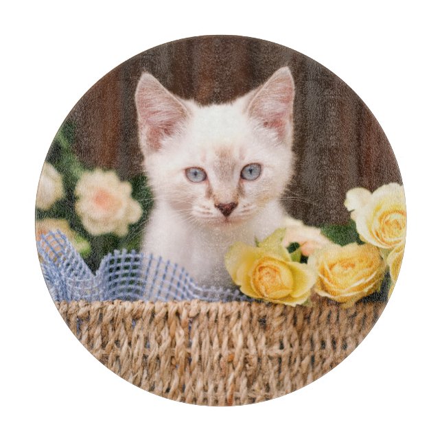 Cutest Baby djur | Kitten & Gul ros (Framsidan)