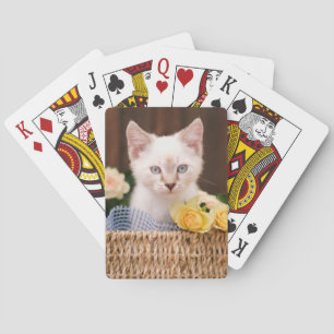 Cutest Baby djur Kitten & Gul ros Casinokort