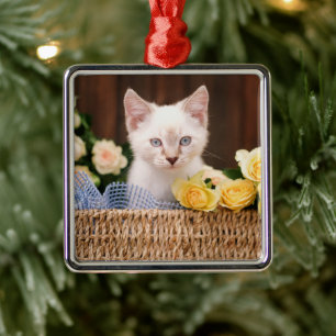 Cutest Baby djur Kitten & Gul ros Julgransprydnad Metall