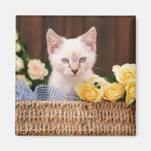 Cutest Baby djur Kitten & Gul ros Magnet