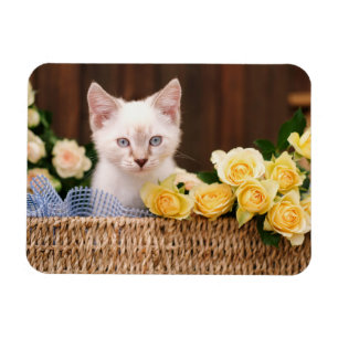 Cutest Baby djur Kitten & Gul ros Magnet