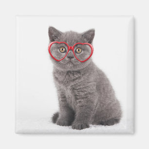 Cutest Baby djur   Kitten Heart Glass Magnet