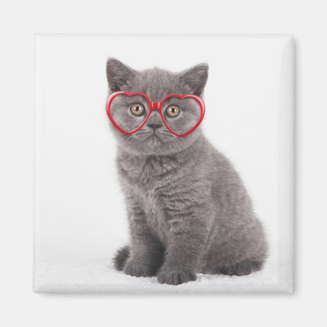 Cutest Baby djur | Kitten Heart Glass Magnet (Framsidan)