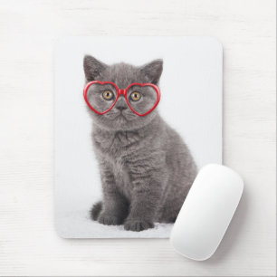 Cutest Baby djur   Kitten Heart Glass Musmatta