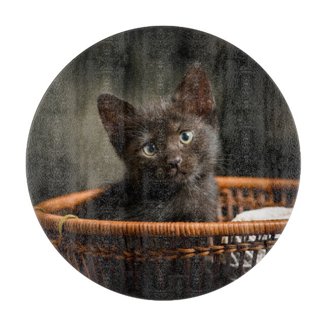 Cutest Baby djur | Kitten i Basket (Framsidan)