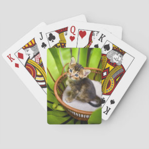 Cutest Baby djur Kitten i Basket Casinokort
