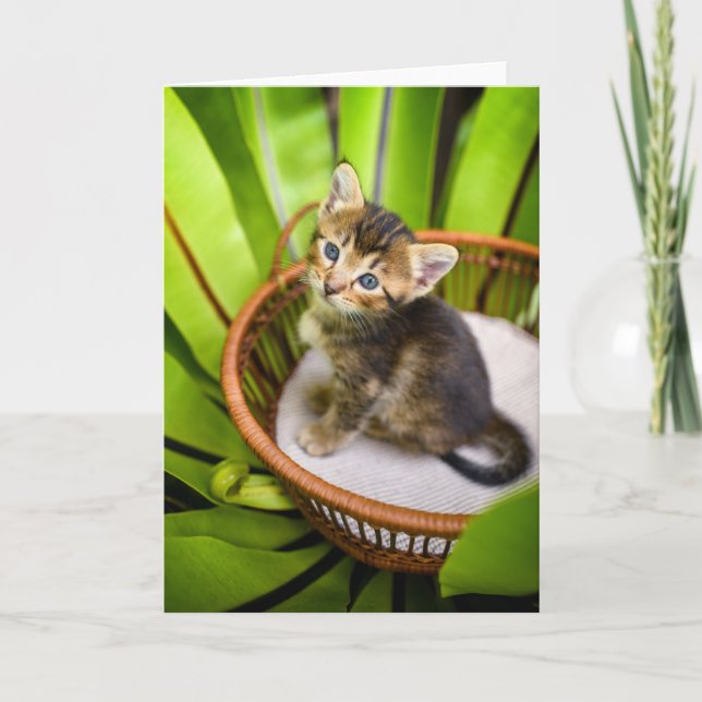 Cutest Baby djur | Kitten i Basket Kort (Framsida)