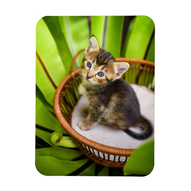 Cutest Baby djur | Kitten i Basket Magnet (Vertikal)