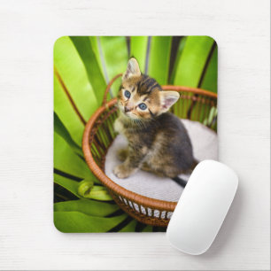 Cutest Baby djur Kitten i Basket Musmatta