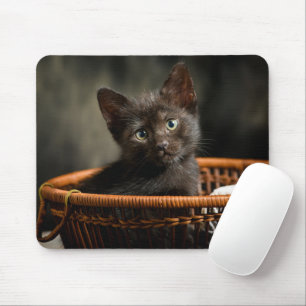 Cutest Baby djur Kitten i Basket Musmatta