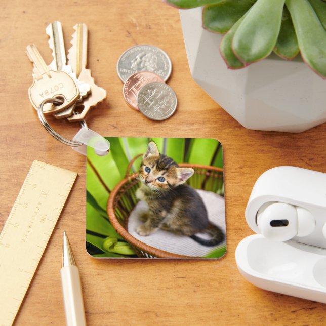 Cutest Baby djur | Kitten i Basket Nyckelring (Skrivbord)