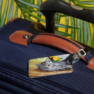 Cutest Baby djur   Kitten Lounging Bagagebricka