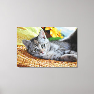 Cutest Baby djur Kitten Lounging Canvastryck