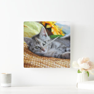 Cutest Baby djur Kitten Lounging Fyrkantig Klocka