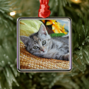 Cutest Baby djur Kitten Lounging Julgransprydnad Metall