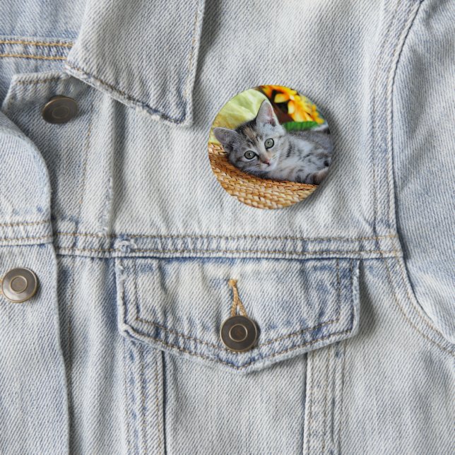 Cutest Baby djur | Kitten Lounging Knapp (In Situ)