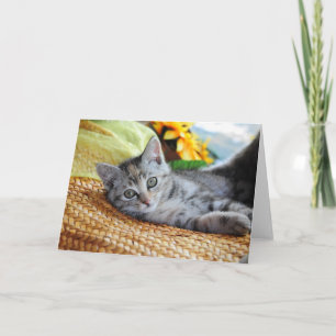Cutest Baby djur Kitten Lounging Kort