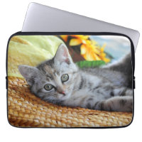 Cutest Baby djur | Kitten Lounging