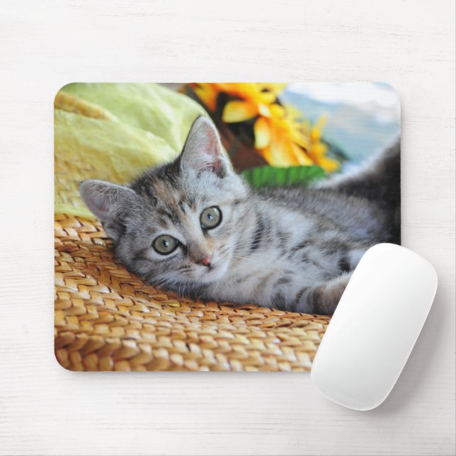 Cutest Baby djur | Kitten Lounging Musmatta (Med mus)