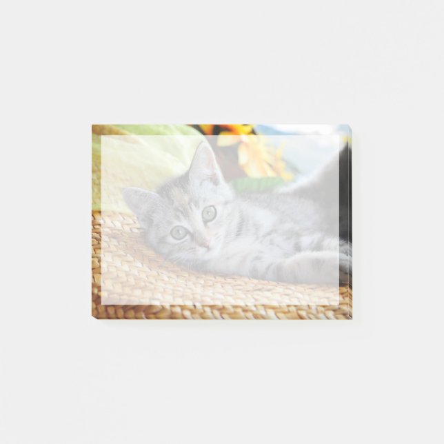 Cutest Baby djur | Kitten Lounging Post-it Block (Framsida)
