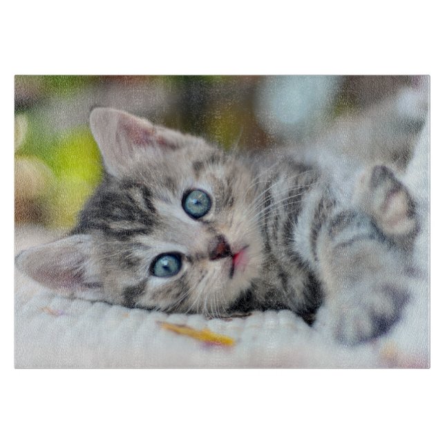 Cutest Baby djur | Kitten med blå Öga (Framsidan)