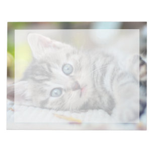 Cutest Baby djur   Kitten med blå Öga Anteckningsblock