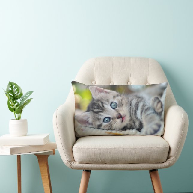 Cutest Baby djur | Kitten med blå Öga Lumbarkudde (Stol)