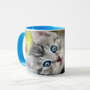 Cutest Baby djur Kitten med blå Öga Mugg