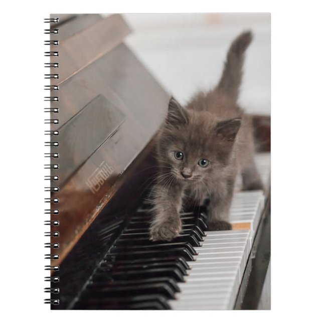 Cutest Baby djur | Kitten på Piano Anteckningsbok (Framsidan)