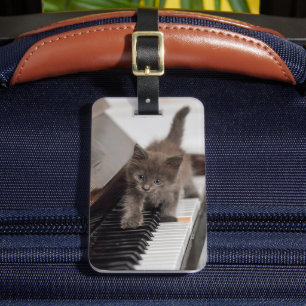 Cutest Baby djur Kitten på Piano Bagagebricka