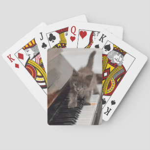 Cutest Baby djur Kitten på Piano Casinokort